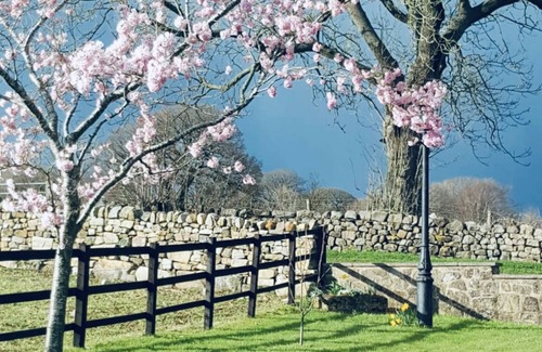 Ripley Apartment | Cosy apartment set in rural countryside. Sleeps 2