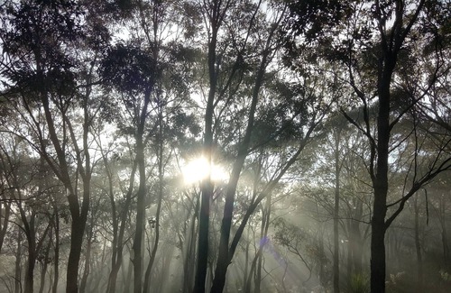 New Gisborne Bed & Breakfast | Cosy Bell Tent With an à la Carte Breakfast and up Close Kangaroo Experience