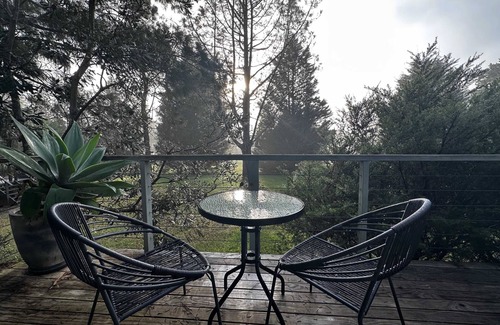 Kangaroo Valley Cabin | Cosy Cabin, Kangaroo Valley Golf Resort- Wildlife