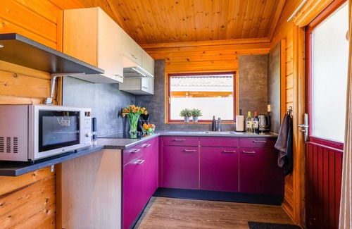 Gramsbergen Ski Chalet | Cosy chalet on versatile holiday park