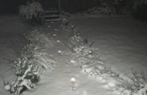 Crieff Cottage | Cosy cottage in glorious countryside -sleeps 4+1 child.