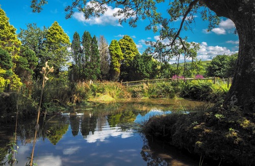 Boncath Cottage | Cosy dog friendly cottage in an idyllic rural setting near amazing beaches