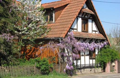 Betschdorf House | Cosy flat in Betschdorf