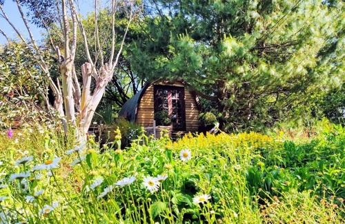 Saltash Cabin | Cosy Glamping at The Greenhouse Spa Retreat