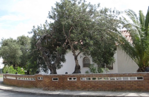 Miami Platja House | Cosy holiday home for the whole family, swimming fun included