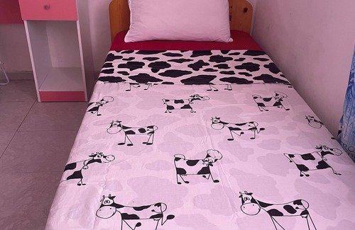 Bir El Djir Apartment | Cosy host apartment