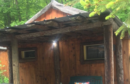 Trumansburg Cabin | Cosy lake propery cabin sleeps 4!