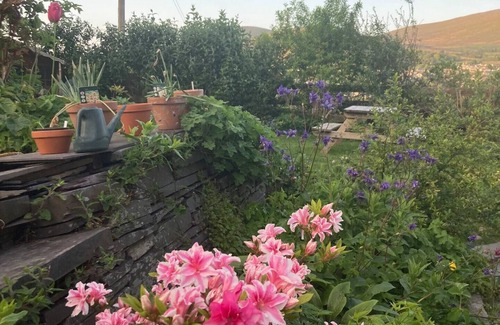Bangor House | Cosy, Modernised and Peaceful Welsh Cottage on the Edge of Eryri National Park