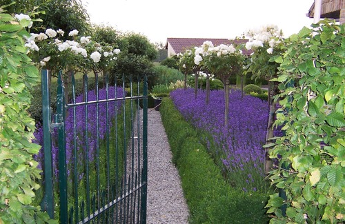 Sint-Andries Cottage | Cosy rural maisonette near downtown Bruges