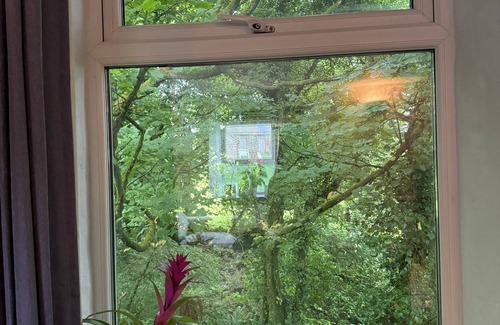 Carnbrea House | Cosy, secluded barn conversion in Cornwall — 10 minutes from beach