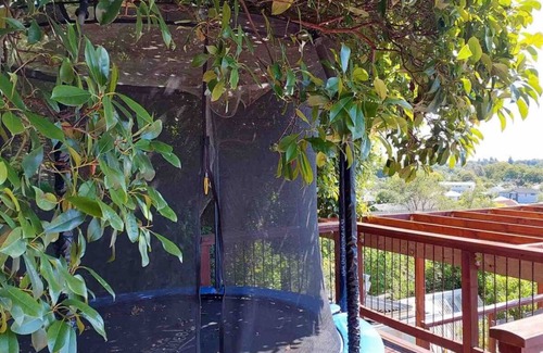Christchurch Apartment | Cosy self-contained studio, family friendly, sleeps 4