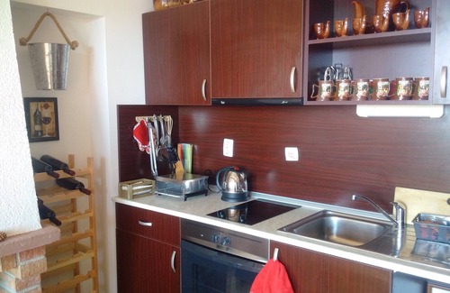 Shiligarnika Apartment | Cosy ski studio Bansko