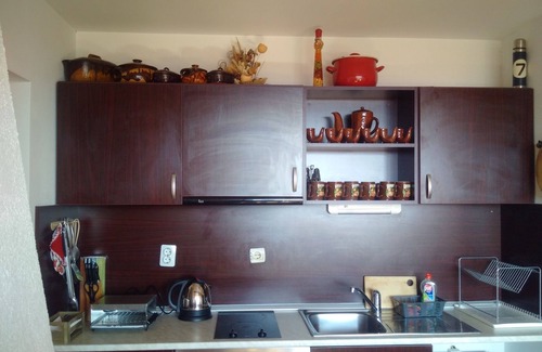 Shiligarnika Apartment | Cosy ski studio Bansko