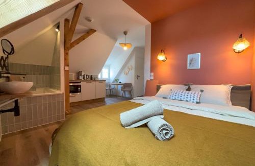 Sarreguemines Apartment | Cosy sous les toits - Charme et modernité