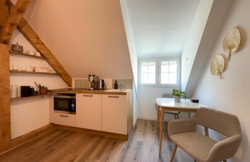 Sarreguemines Apartment | Cosy sous les toits - Charme et modernité