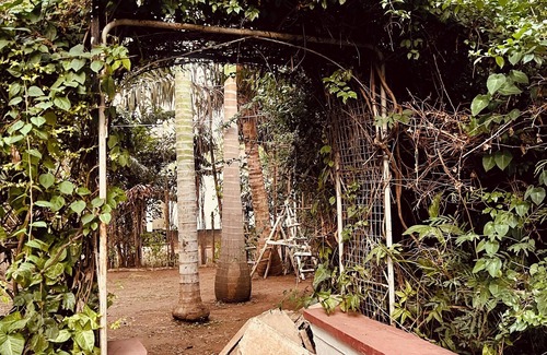 Kisumu Apartment | Cosy Studio 5 minutes to Kisumu CBD With Pool Garden and restaurant.