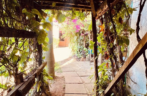 Kisumu Apartment | Cosy Studio 5 minutes to Kisumu CBD With Pool Garden and restaurant.