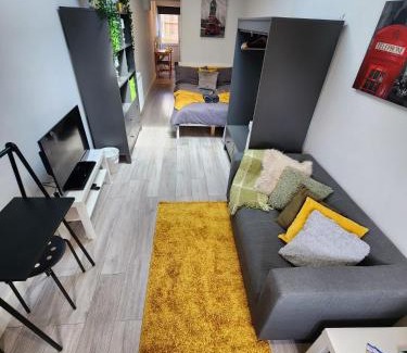 Brent Apartment | Cosy Studio Wembley Stadium Gem