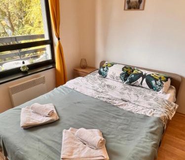 Razlog Apartment | Cosy studios with mountain view near Bansko