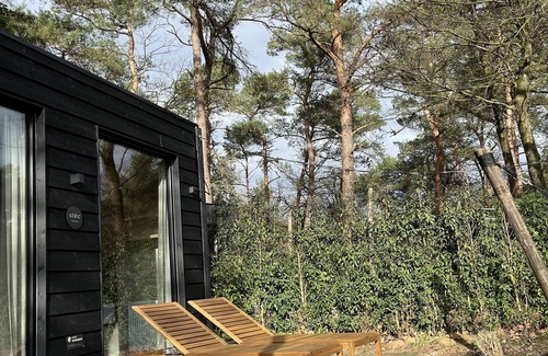 Nunspeet House | Cosy tiny house in the middle of the Veluwe