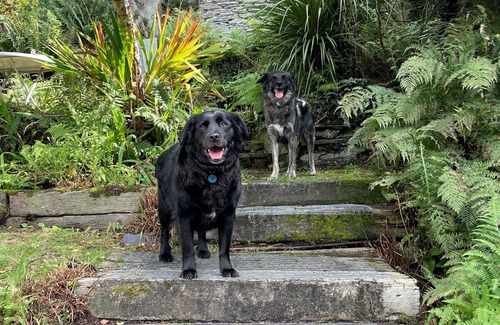 Cwrt Cottage | Cosy Welsh Cottage Eryri
