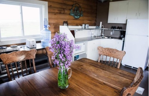 Castor Other | COTC: Log Cabin Glamping