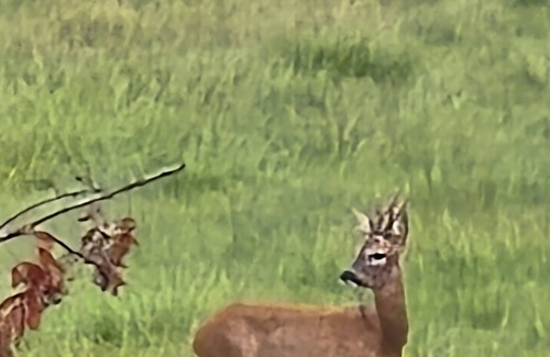 South Marston Apartment | Cotswolds Gateway with Stunning Rural Views"