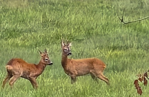 South Marston Apartment | Cotswolds Gateway with Stunning Rural Views"