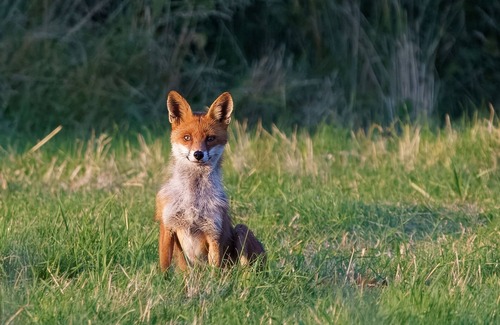 South Marston Apartment | Cotswolds Gateway with Stunning Rural Views"