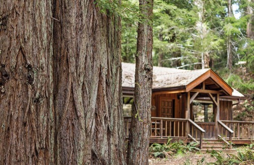 Redwood Valley House | Cottage - 1-bedroom house at Leonard Lake Reserve