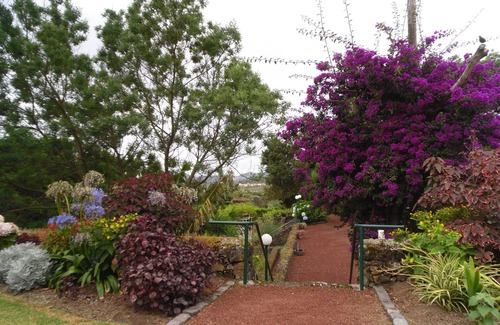 Livramento Cottage | Cottage #4-Clean, quality, self catered, semi detached, max 2