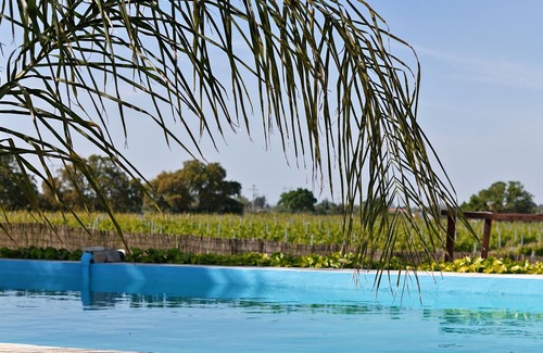 Palmela Cottage | Cottage 'Casa Castelão' with Shared Pool, Shared Terrace and Air Conditioning