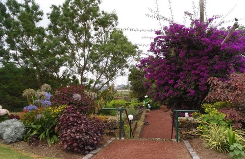 Livramento Cottage | Cottage- clean, quality, semi detached, max 4