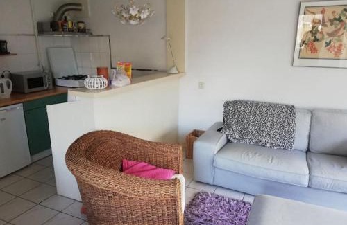 Egmond-Binnen House | Cottage Egmond-Binnen met besloten tuin
