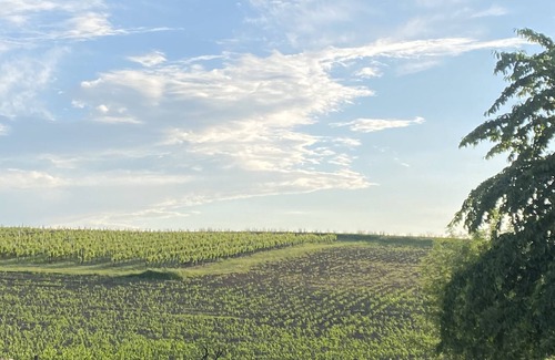 Puyguilhem House | Cottage en perigord