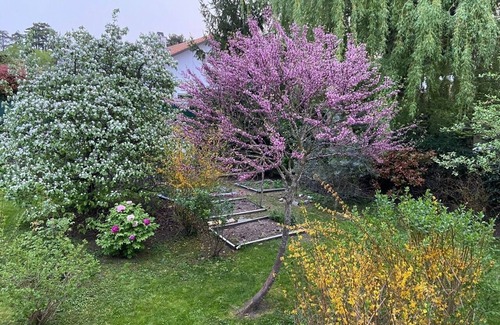 Thonex Cottage | Cottage for 4 people in Geneva with a large garden