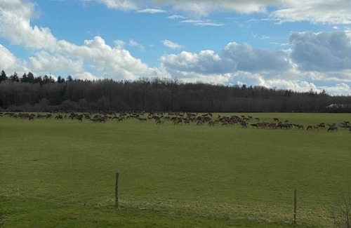 La Trinite-des-Laitiers Cottage | Cottage in Normandy with WIFI and Pets Allowed, Near the Forest