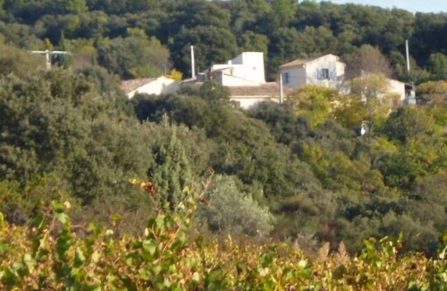 Saint-Pierre-de-Vassols Cottage | Cottage full nature for 3 p. In a hamlet on a hill near Bedoin