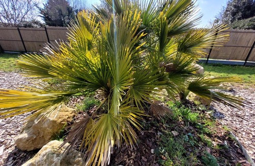 Saint-Jean-de-Monts Ski Chalet | Cottage Happy - SPA Privatif