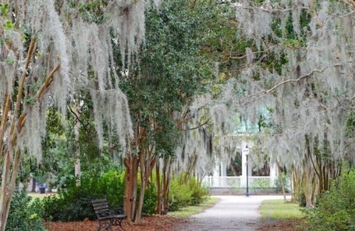 Charleston House | Cottage in Wagener Terrace; walk to Lowndes Grove