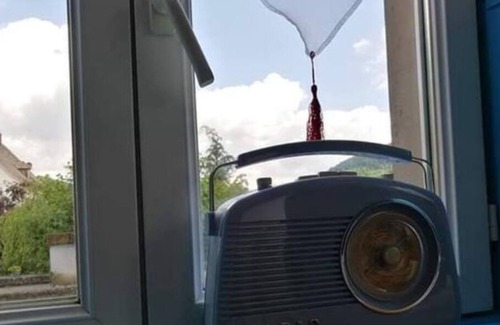 Sondernach Apartment | Cottage "L 'Arbre Vert"