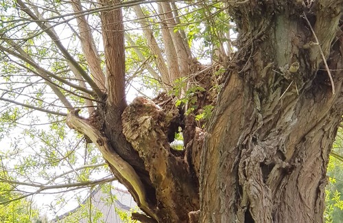 La Fresnais Cottage | Cottage Le LOFT ATELIER: a unique, authentic and modern place. 4km from the sea.