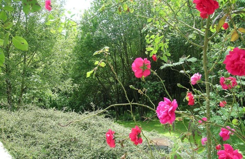 Durbuy House | Cottage Near Durbuy Forest