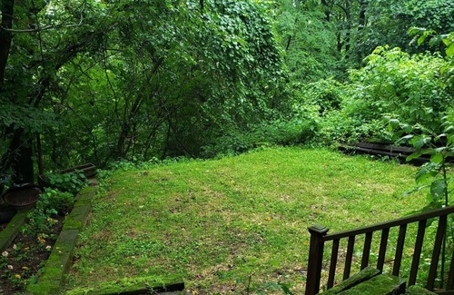 Carnegie Cottage | Cottage near Pittsburgh - Pet Friendly, No Pet/Cleaning Fees, Secluded & Quiet