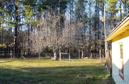 Starkville Cottage | Cottage Nestled in Nature