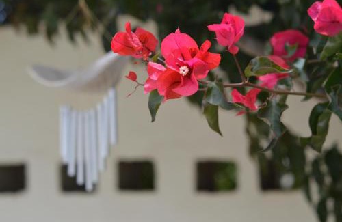 Vineta Apartment | Cottage on Diamond Street