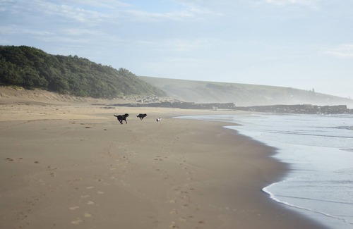 Kentani Cottage | Cottage 'On the Beach'.watch the waves.from your bed!