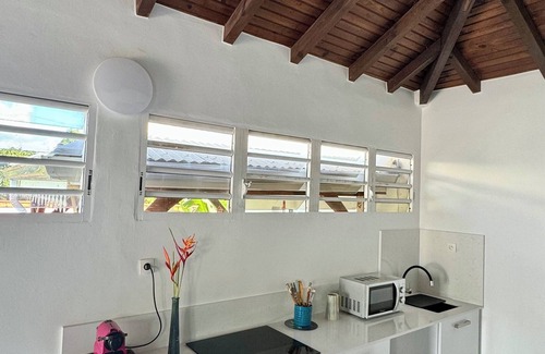 Tartane Villa | Cottage Palmier Rouge