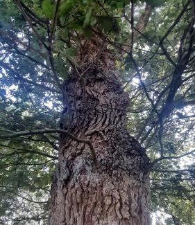 Le Rheu House | Cottage près de Rennes