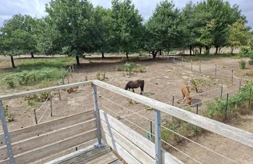 Chaveignes Apartment | Cottage Rembrandt